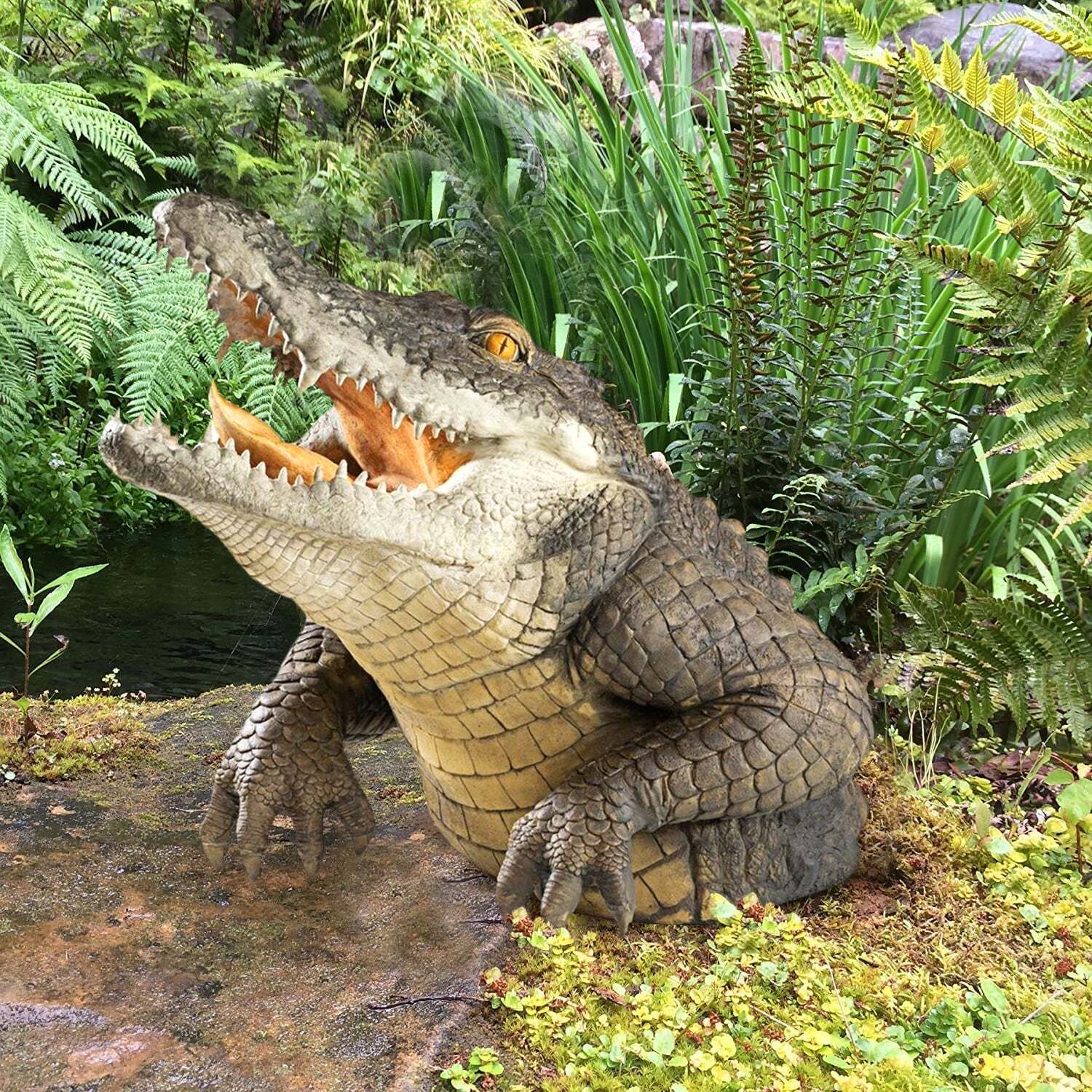 Gator